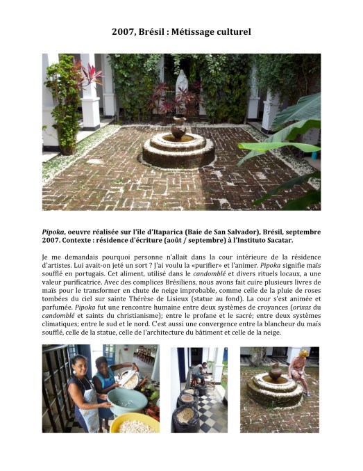 Installation_2_Métissage culturel_jpg