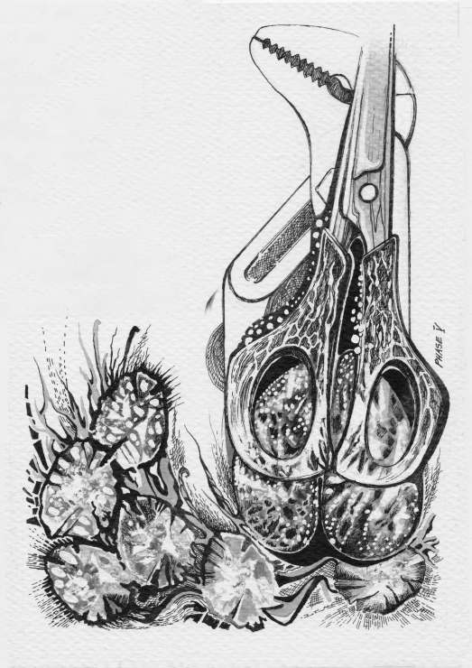 phase 5_satura2 - copie