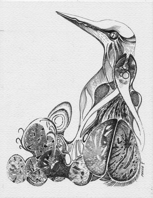 phase 6satura2 - copie